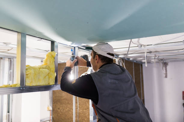 Best Insulation Installation Services in Kings Park, VA